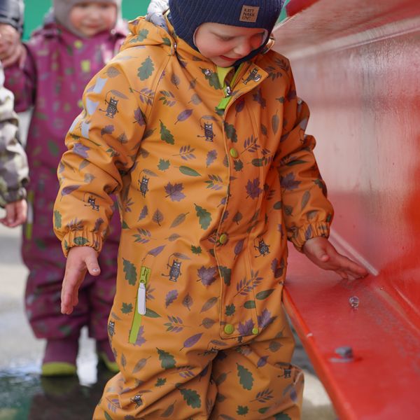 Kattnakken , Vinterregndress slaps honning