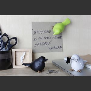 Hovedbilde Qualy, magnet Big bird sort