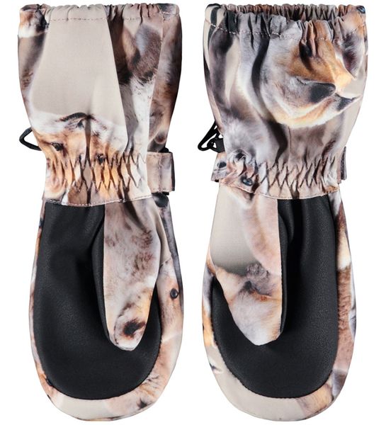 Molo Igor lange votter, playing foxes