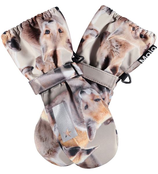 Molo Igor lange votter, playing foxes