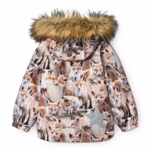 Hovedbilde Molo, Hopla fur playing foxes