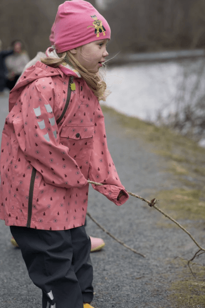 Kattnakken , Vindjakke stokkrose
