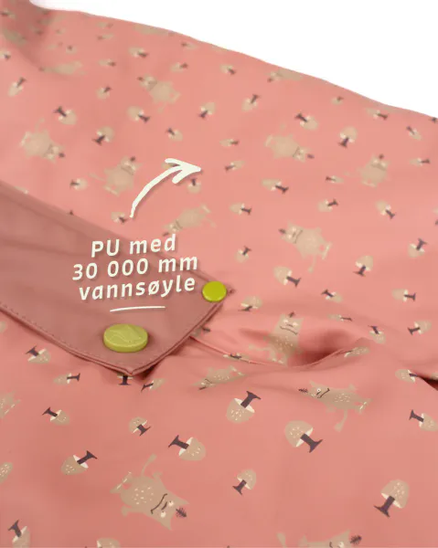 Kattnakken , Babyregndress pytt sandeltre